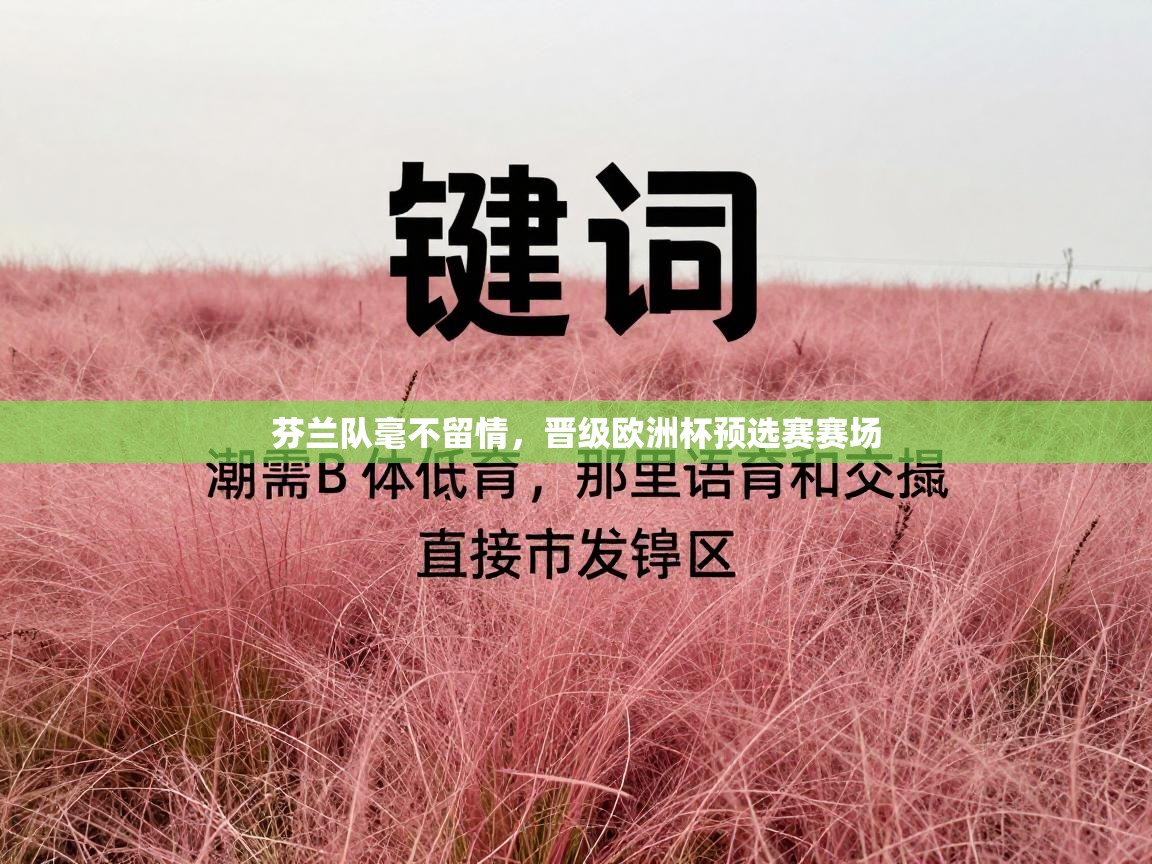 芬兰队毫不留情，晋级欧洲杯预选赛赛场  第2张